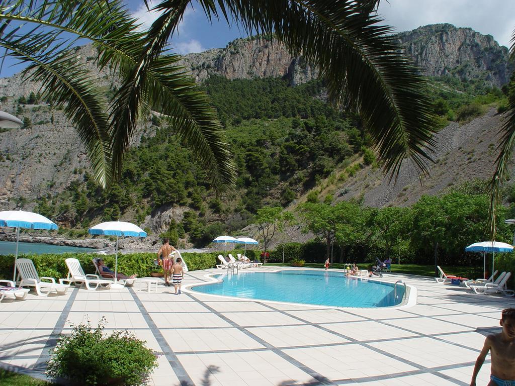 Gabbiano 3*