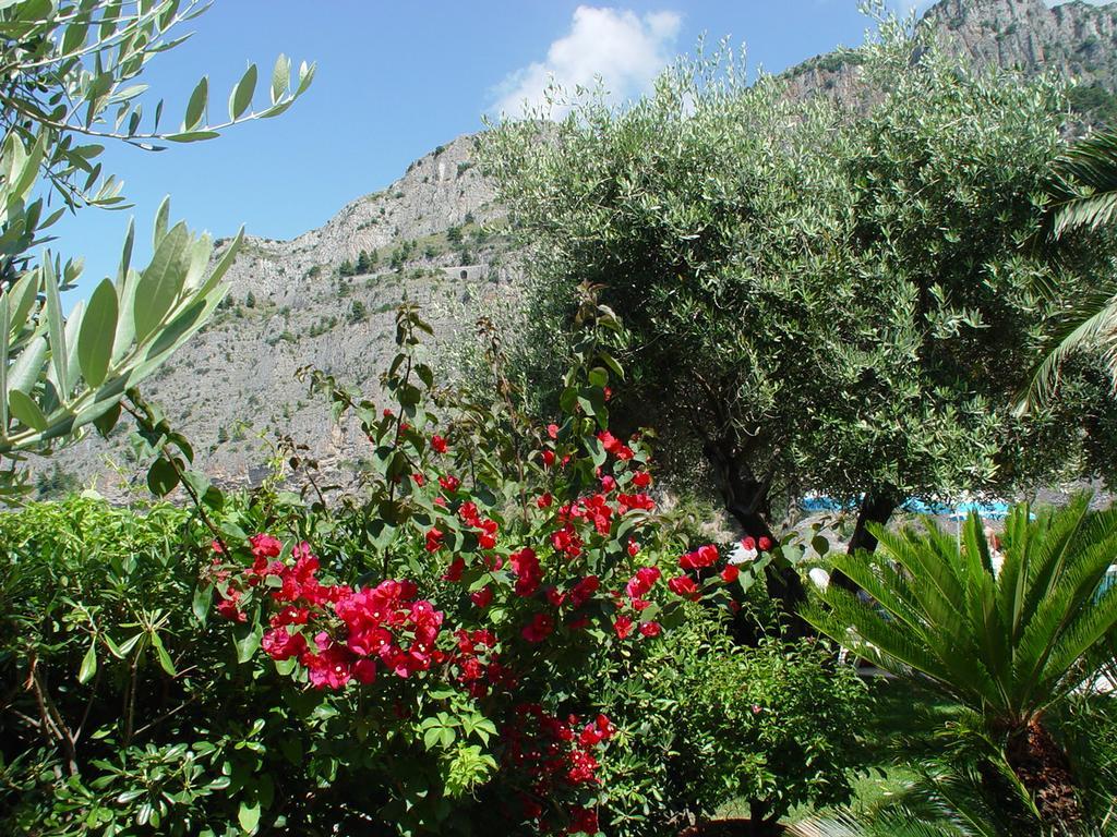 Gabbiano Hotel Maratea