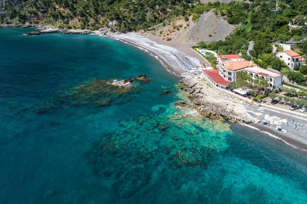 Gabbiano