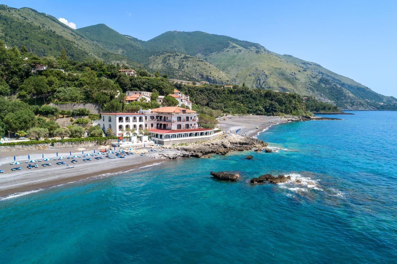 Gabbiano