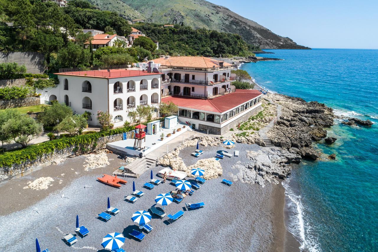 Gabbiano Maratea